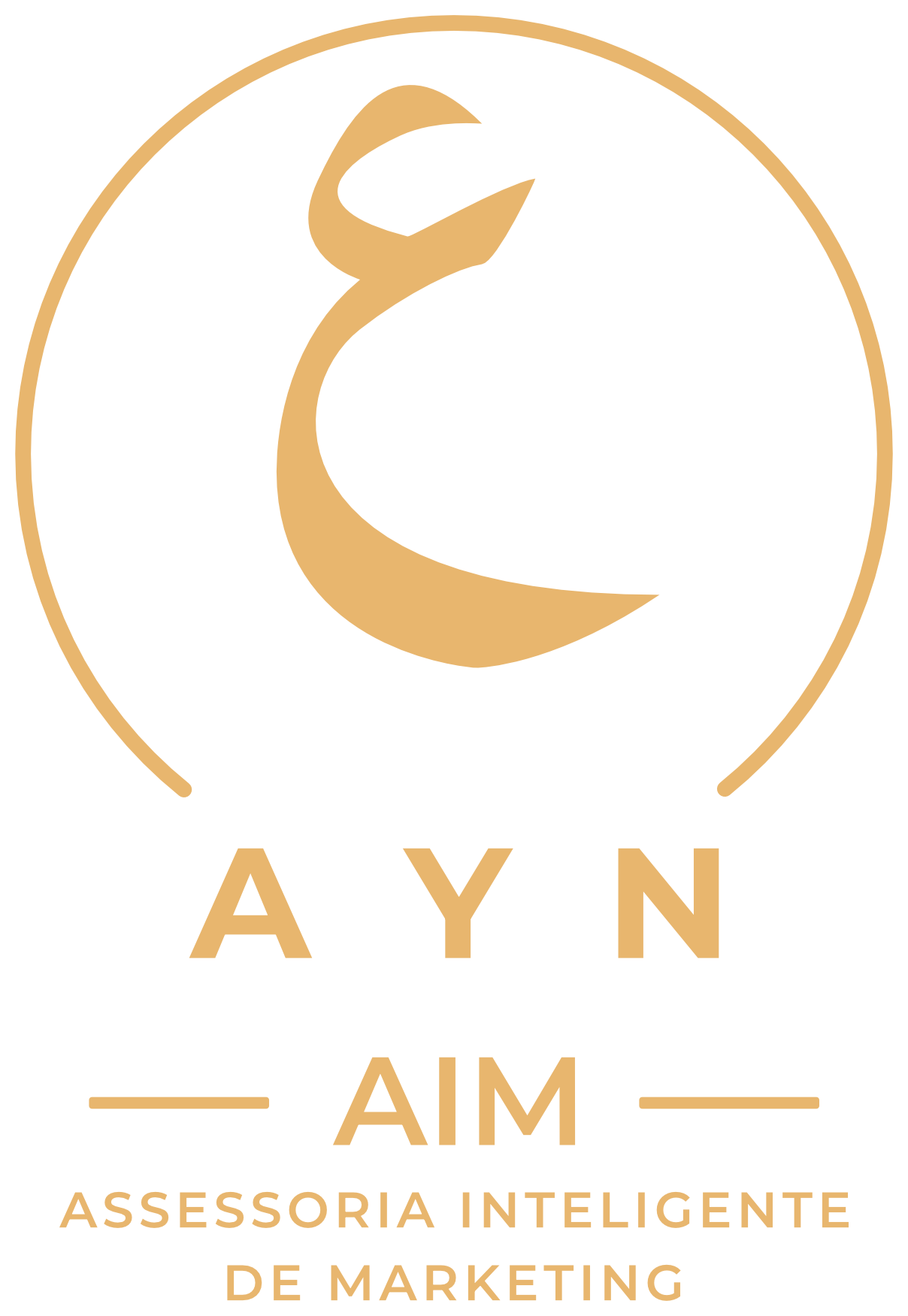 AYN — Assessoria Inteligente de Marketing